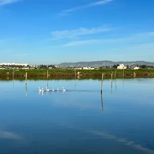 Gospodarstwo wiejskie Herdade Dos Salgados Do Fialho, Dystrykt Faro